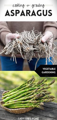 asparagus is the best vegetable for gardening