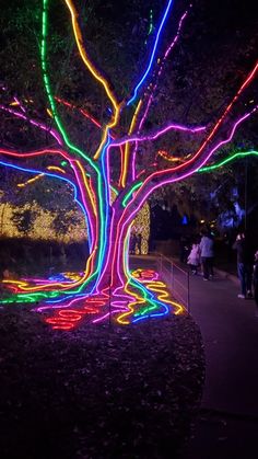 an illuminated tree in the middle of a park at night