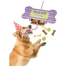 a dog wearing a party hat and playing with toys