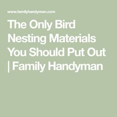 the only bird nesting materials you should put out / family handyman - click here