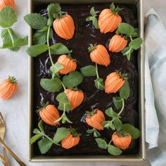 chocolate cake decorated with mini pumpkins and green leaves