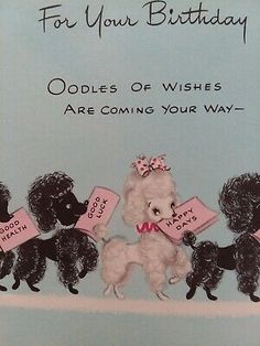 a birthday card with poodles holding pink signs that say, for your birthday oddies of wishes are coming your way