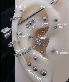 an ear with different types of piercings and names on the front, side, and back of it