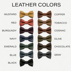 the different colors of bow ties are shown in this poster, which includes black, brown, red, and blue