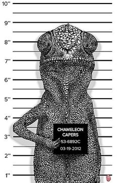 a mug shot of a man in jail with his hands on his hips and the name charleston