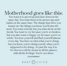 a quote from baby chick that says motherhood goes like this you want it to spend and slow down in the same day