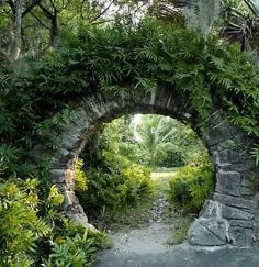 a stone arch with plants growing over it