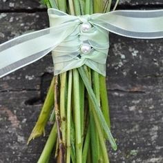 a bunch of green asparagus tied up with a ribbon