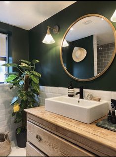 a bathroom with a sink, mirror and potted plant on the counter in front of it