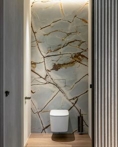 a bathroom with a white toilet sitting next to a wooden floor and a marble wall