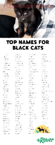 the top names for black cats