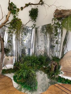 Plant Stage Design, Photography Set Design Ideas, Whimsical Set Design, Studio Props Ideas, Forest Art Installation, Tropical Installation, Forest Set Design, Forest Mood Board, Forest Exhibition