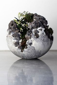 a rock with plants growing out of it sitting on the floor in front of a white wall