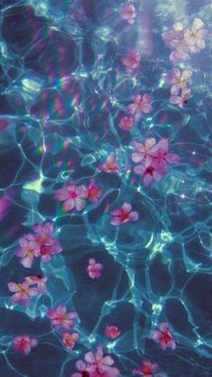 some pink flowers floating on top of the water in a pool with sunlight shining through them