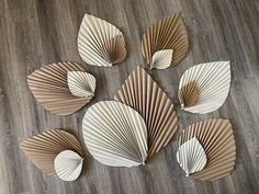 six folded paper fan shaped objects on the floor with wood grained floors in the background