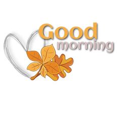 the words good morning are written in orange and white with an image of leaves on it