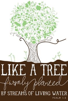 a tree with the words like a tree isn't planted by streams of living water