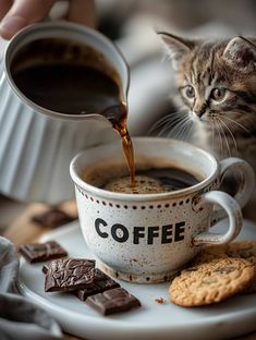 a cat sitting on a table next to a cup of coffee and some chocolates