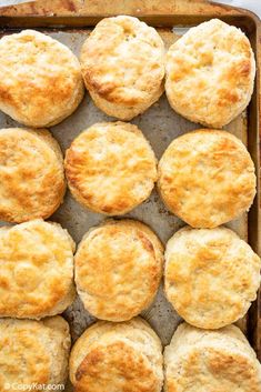 freshly baked biscuits on a baking sheet ready to be cooked in the oven for dinner