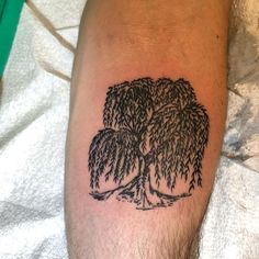 a man's arm with a tree tattoo on it