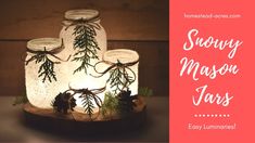 three mason jars with pine cones and evergreen branches on them