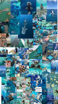 a collage of images with different animals and people in them, including an ocean theme