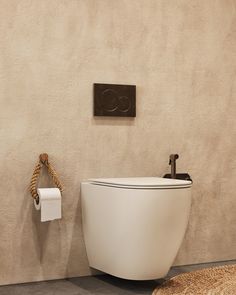 a white toilet sitting next to a wall mounted towel dispenser on a hook