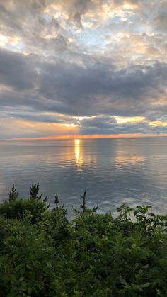 the sun is setting over the ocean with clouds in the sky and trees around it