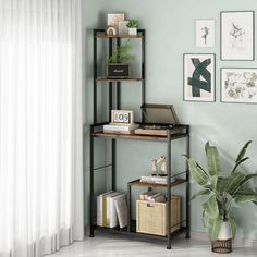 a living room with a plant, bookshelf and pictures on the wall