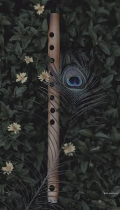 an artistic photo of a flute in the grass with flowers around it and a peacock's eye