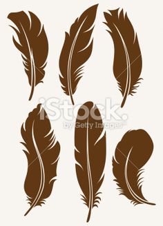 six brown feathers on white background