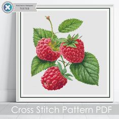 a cross stitch pattern with raspberries on it