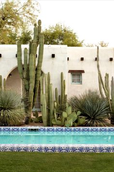 a pool surrounded by cactus next to a white building with blue tiles on the sides