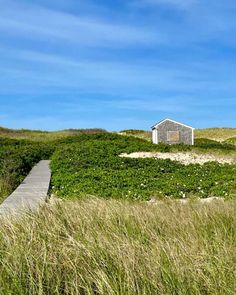 a small house sitting on top of a grass covered hill next to a wooden walkway