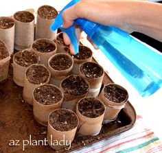 someone is pouring water on some plants in the potted planter tray with plastic cups