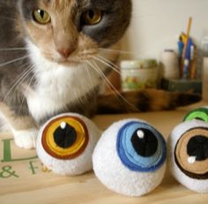 a cat standing next to three fake eyes