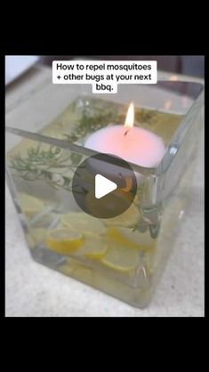 Jen Watson | Cleaning, Organizing, Home Tips & more. on Instagram: "How to naturally repel mosquitoes + spiders at your next bbq.👌🏽

Lemon, rosemary + water. The citronella oil is optional, and so is the floating candle. They both help repel even more if added to the lemon rosemary water.🤗
.
.
.
.
.
.
.
.
.
.
.
.
.
.
.
.
.
.
.
.
.
.
.
.
.
#repellent #mosquitos #lifehacks #hometips #homehacks #tips #bbqhacks #bbqtips #camping #campingtips #mosquitorepellant #bugs #outdoors #bugrepellent #tipsandtricks #campinghacks #bbq #lifehack #didyouknow" Rosemary Candles, Organizing Home, Rosemary Water, Bbq Hacks, Citronella Oil, Floating Candle, Lemon Rosemary, Fly Repellant, Bug Repellent