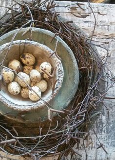 a bird's nest filled with eggs on top of a wooden table next to twigs