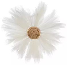 a white feather flower is shown on a white background with a brown center piece in the middle