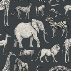 an elephant, giraffe, zebra and other animals are depicted in this black and white drawing