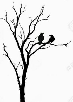 two birds sitting on the branches of a bare tree against a white background stock photo