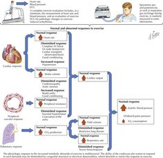 a diagram showing the process of an organ