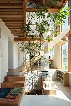 a tree in the middle of a room with stairs leading up to an open floor plan