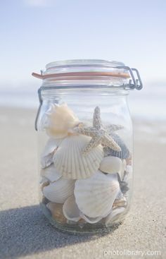 a jar filled with sea shells sitting on top of a sandy beach