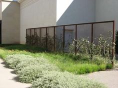 an empty sidewalk next to a building with tall grass and weeds growing on the side