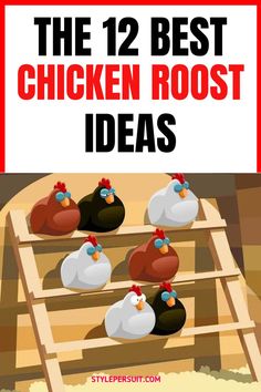 the 12 best chicken roost ideas for kids and toddlers to make their own hens