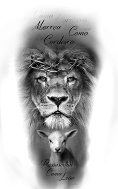 a lion and lamb are shown in this black and white photo