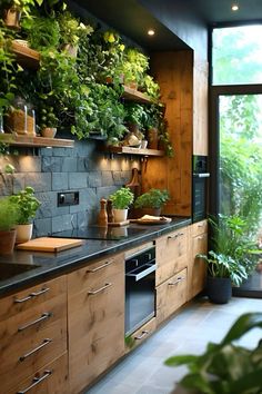 a kitchen filled with lots of green plants and wooden cabinets next to a large window