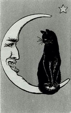 a black cat sitting on top of a crescent moon next to a man's face