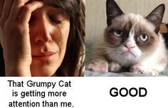 two pictures one with grumpy cat and the other with attention than me,